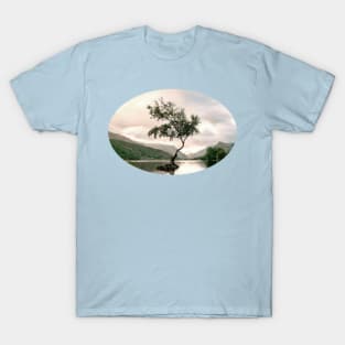 Tiny island tree photo T-Shirt